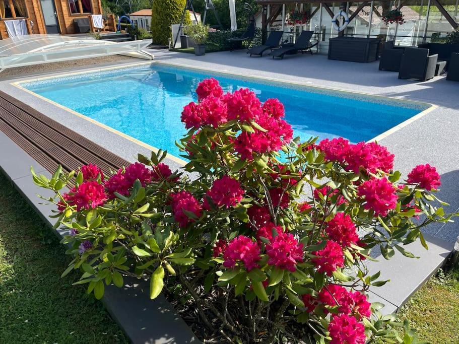 Chalet 2 Personnes Avec Jacuzzi Et Piscine Saisonniere Partagee Corcieux Ngoại thất bức ảnh