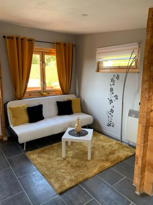 Chalet 2 Personnes Avec Jacuzzi Et Piscine Saisonniere Partagee Corcieux Ngoại thất bức ảnh